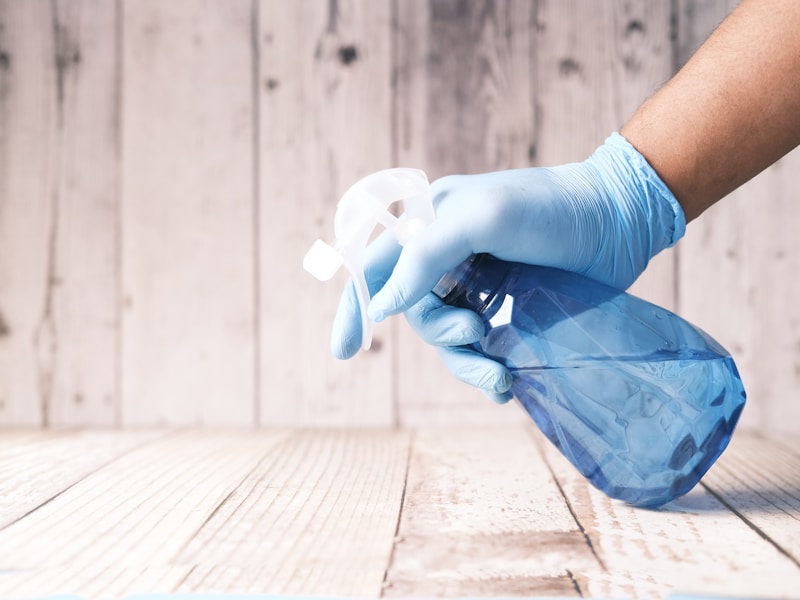 TruMaid Services professional cleaner providing house cleaning in Tampa Bay Florida